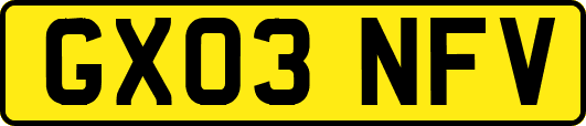 GX03NFV