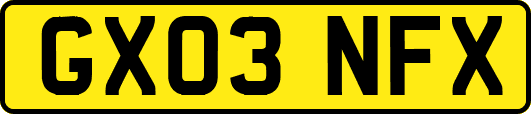 GX03NFX