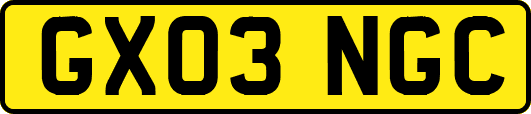 GX03NGC