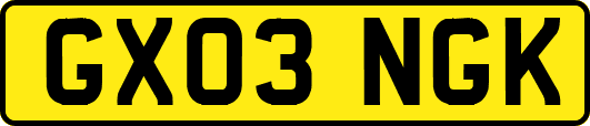 GX03NGK