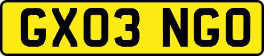 GX03NGO
