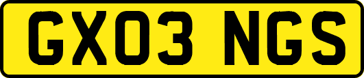 GX03NGS