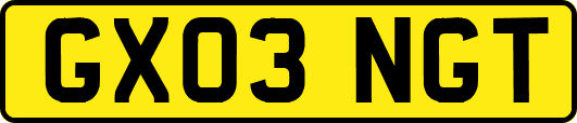 GX03NGT