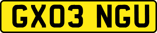 GX03NGU