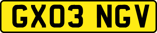 GX03NGV