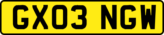 GX03NGW