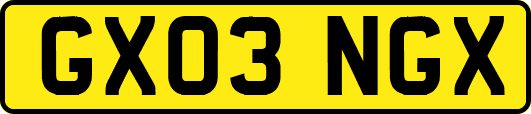 GX03NGX