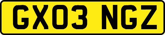 GX03NGZ