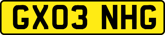 GX03NHG