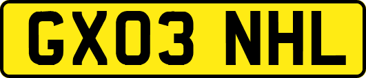 GX03NHL