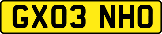 GX03NHO