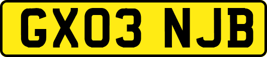 GX03NJB