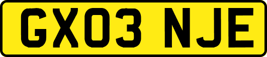 GX03NJE