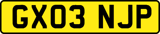 GX03NJP