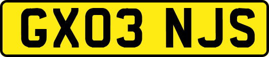 GX03NJS