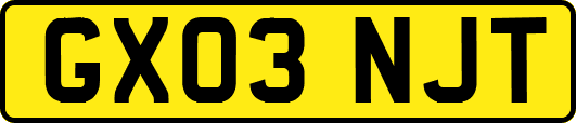 GX03NJT