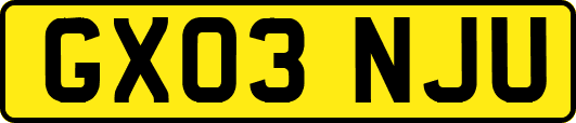 GX03NJU