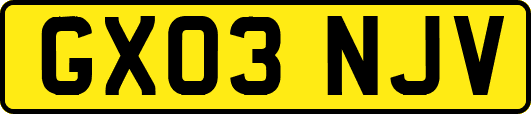 GX03NJV