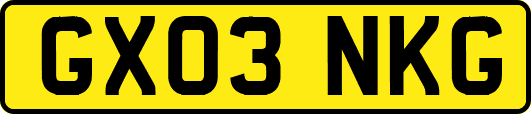 GX03NKG