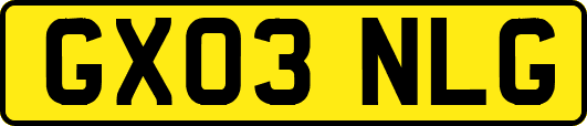 GX03NLG
