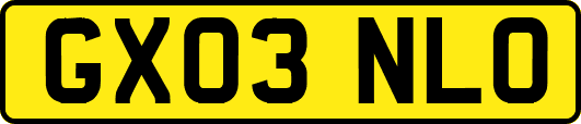 GX03NLO
