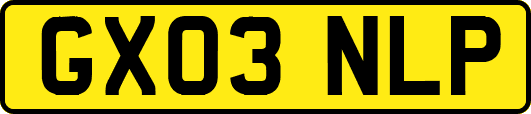 GX03NLP
