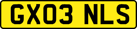 GX03NLS