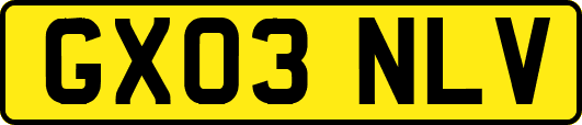 GX03NLV