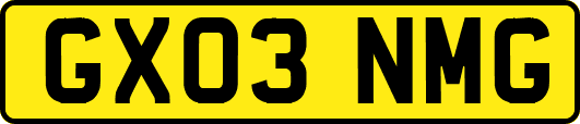 GX03NMG