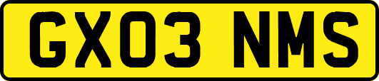 GX03NMS