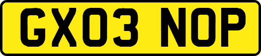 GX03NOP