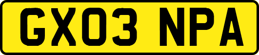 GX03NPA
