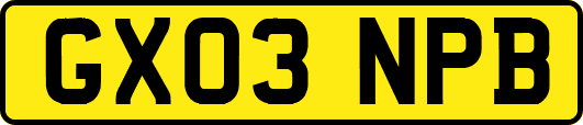 GX03NPB