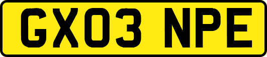 GX03NPE