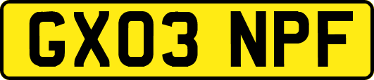 GX03NPF