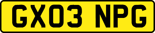 GX03NPG