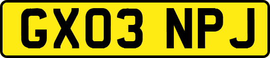 GX03NPJ