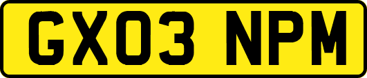 GX03NPM
