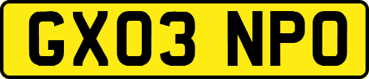GX03NPO