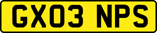 GX03NPS