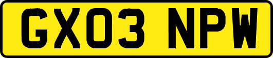 GX03NPW