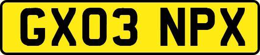GX03NPX