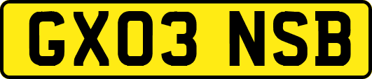 GX03NSB