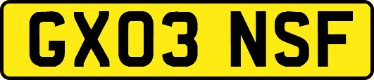 GX03NSF