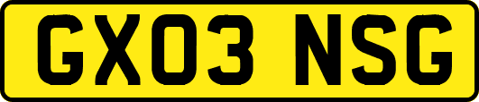GX03NSG