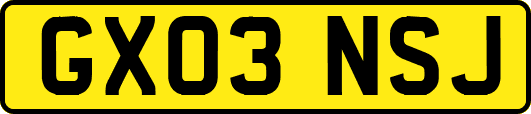 GX03NSJ