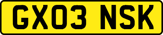 GX03NSK
