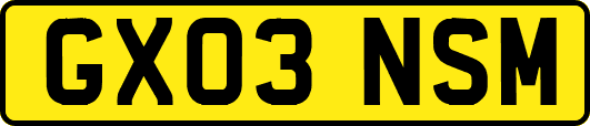 GX03NSM