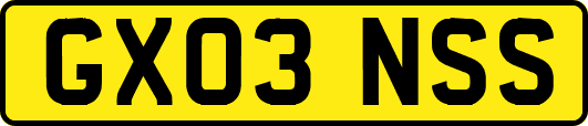 GX03NSS