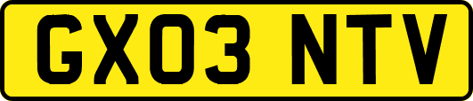 GX03NTV